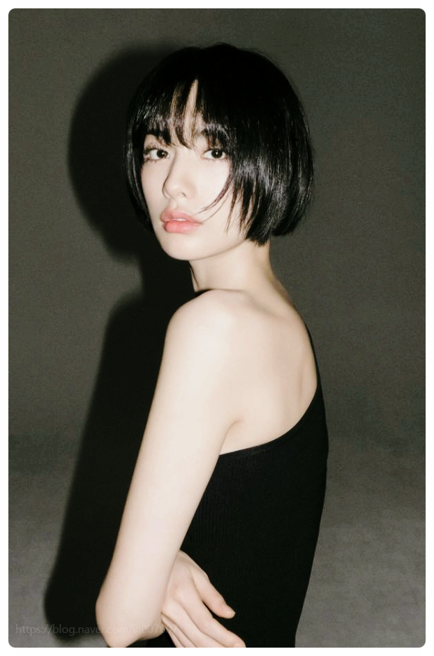 나나 강도 사건 적반하장 고소의 전말 피해자가 살인미수로 몰린 기막힌 현실