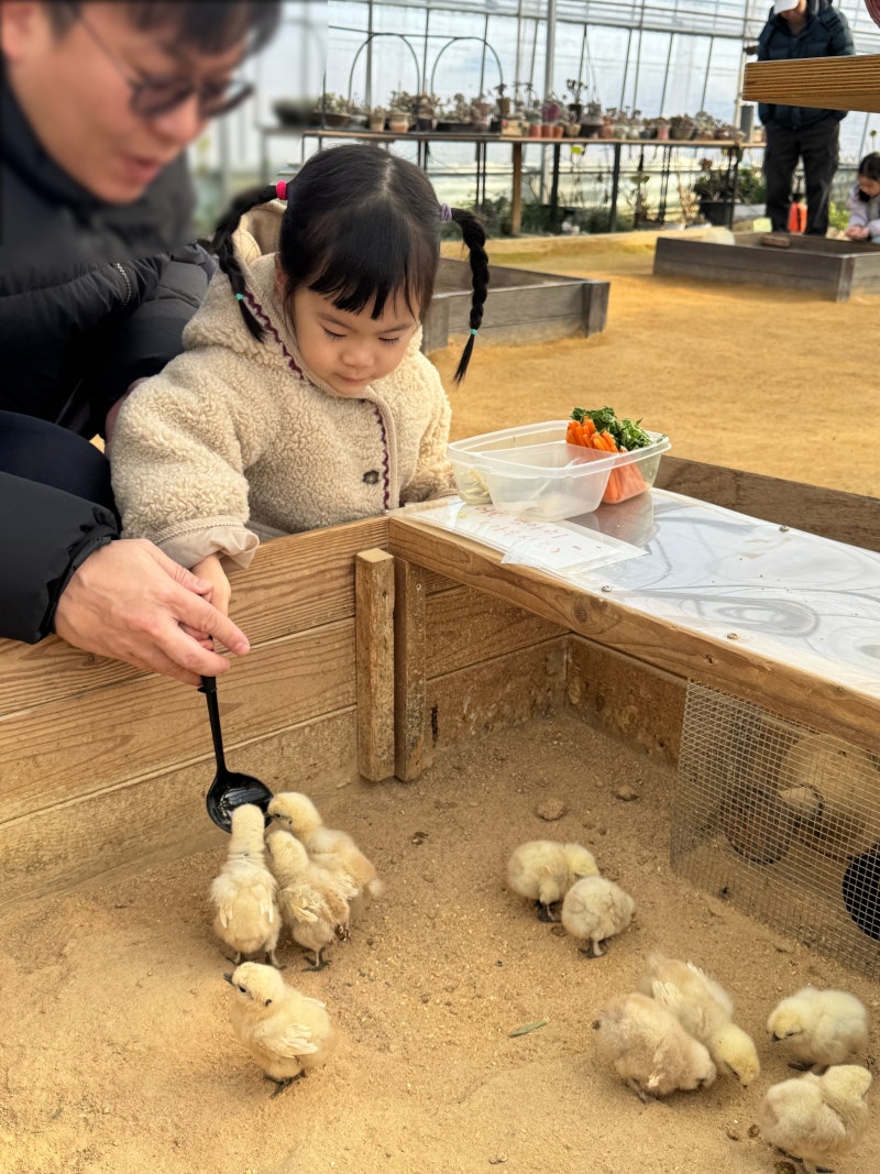 서울근교 동물원 부천 나눔농장 먹이주기체험 아이랑 갈만한곳(주말후기, 주차, 가격)