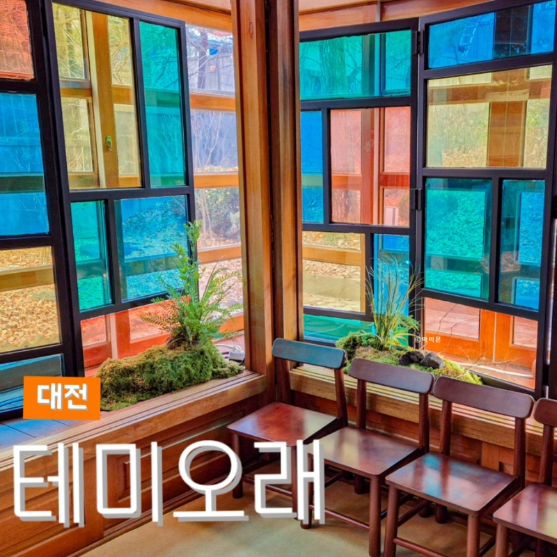 대전 당일여행 대전역 근처 놀거리 전시 데이트 테미오래