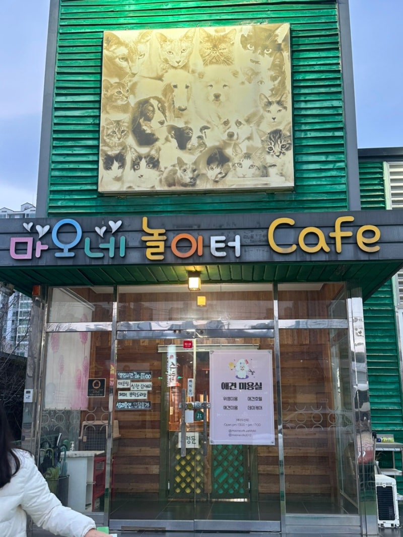 마오네