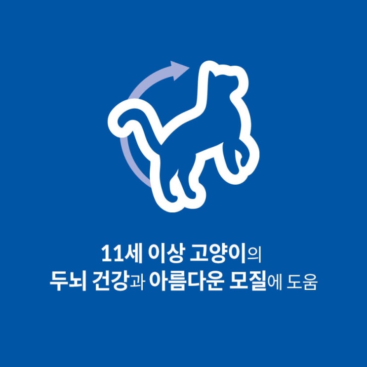  우리 아이에게 맛, 영양, 행복까지 책임지는 힐스 사이언스다이어트 제품, 힐스 고양이사료 어덜트