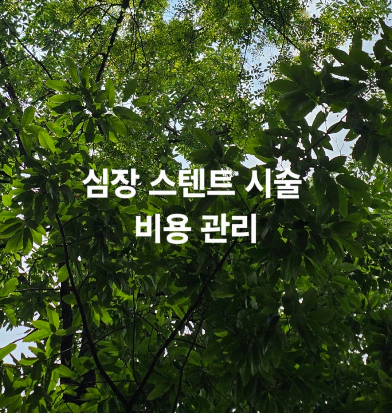 엄마가 겪은 심장 스텐트 시술 비용 음식 관리