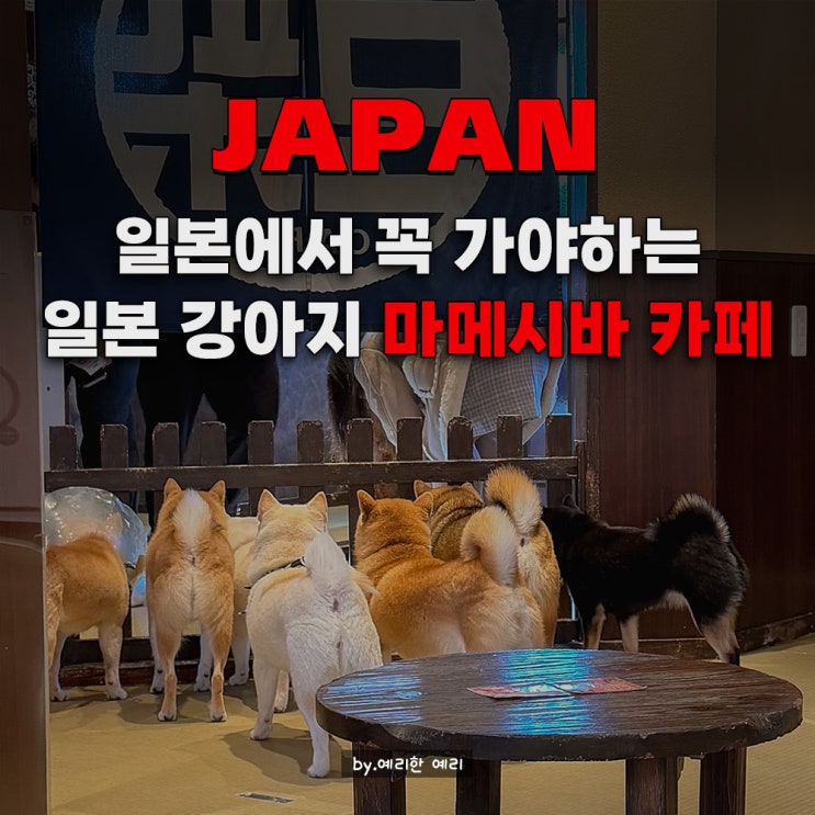  유후인 마메시바 카페 방문 후기 유노츠보 거리 플로랄 빌리지 근처 필수 코스