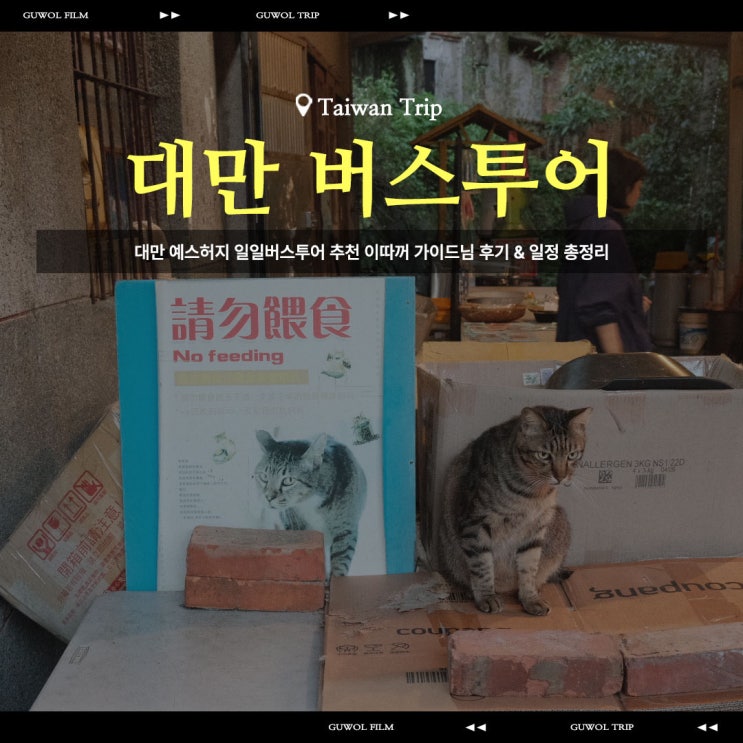  대만 예스허지 일일버스투어 추천 이따꺼 가이드님 후기 & 일정 총정리