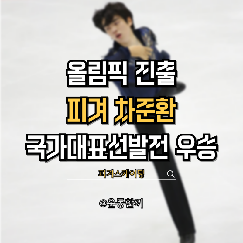 피겨 차준환 올림픽 출전 국가대표 선발전 우승
