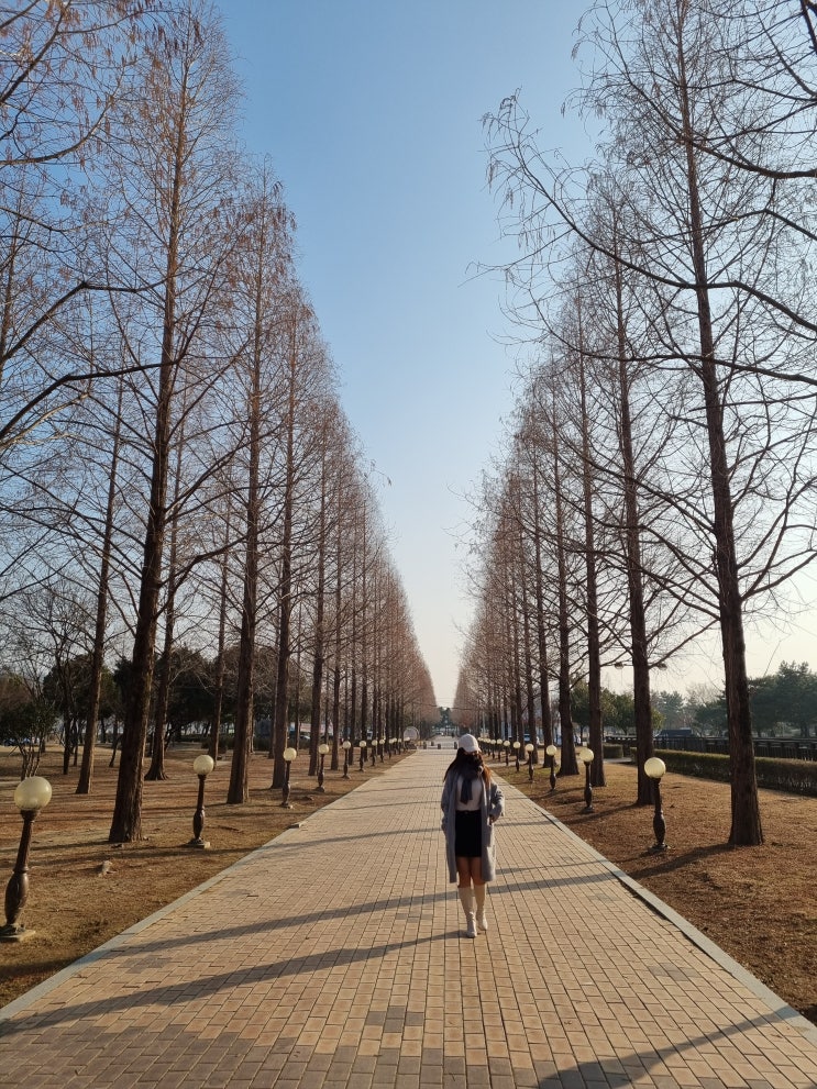 경남 진주 가볼만한곳 뚜벅이여행 코스 3, 진주여행 팁!