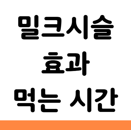  밀크시슬 효과 먹는 시간 부작용