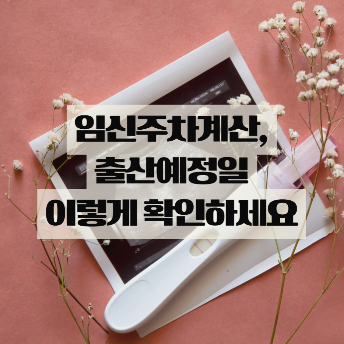  임신주차계산으로 출산예정일 정확하게 확인하는 방법