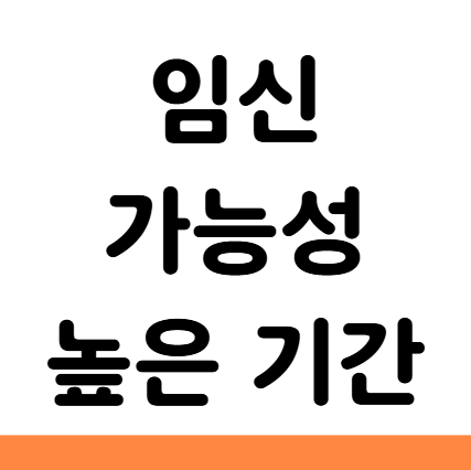  임신 가능성 높은 기간