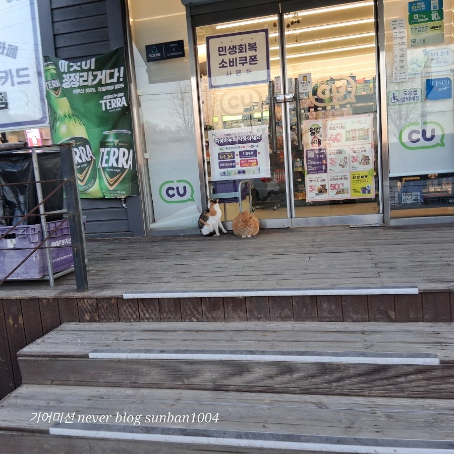 내추동저수지 사진 4