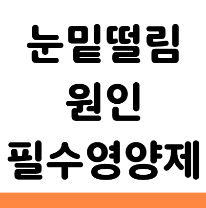  눈밑떨림 원인 지속 음식 영양제