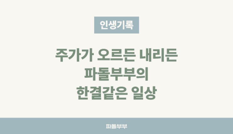  간만에 파돌부부 새해 주말 일상 기록