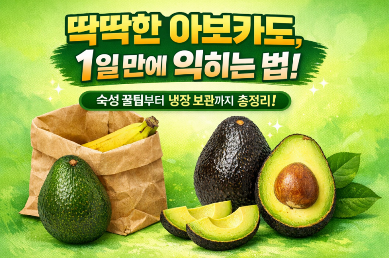 덜 익은 아보카도 숙성법부터 냉장 보관까지, 1~2일이면 완벽하게 익히는 꿀팁!