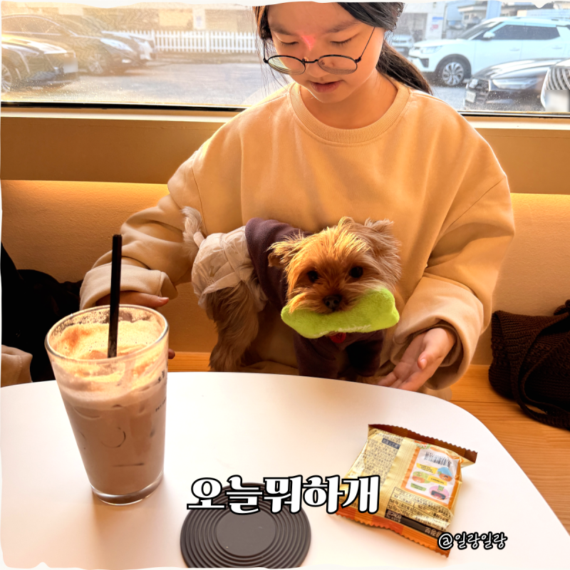 사진 5