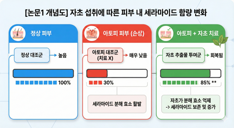 [심층 분석] 소아 아토피, 한약은 어떻게 치료할까? (작용 기전)