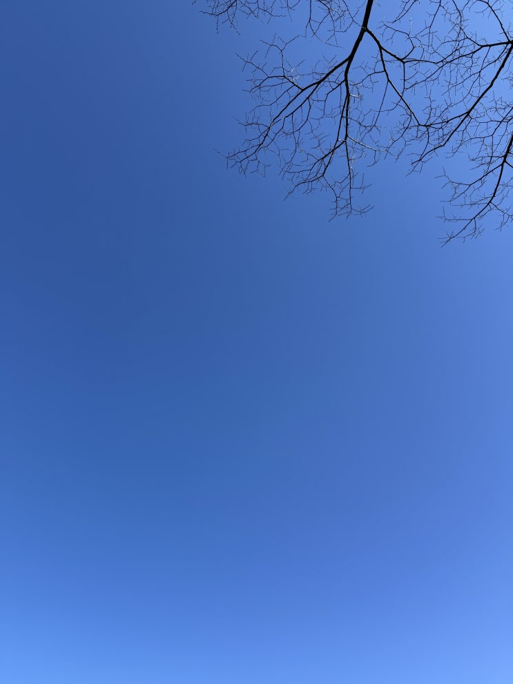  26年 1月 6日 (火) : 감정 가변성과 고집