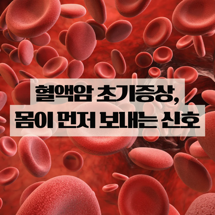  혈액암 초기증상 원인, 놓치기 쉬운 변화들