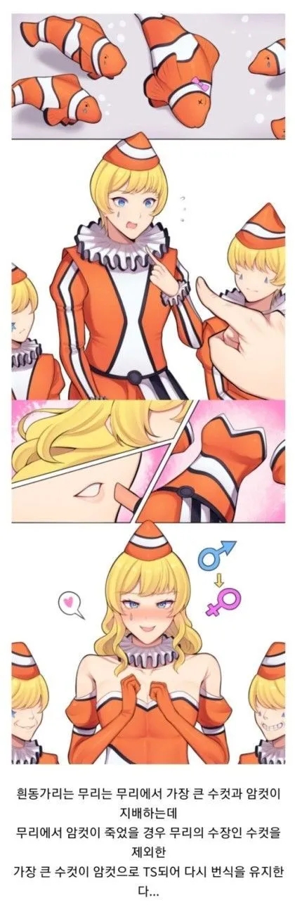  어느 무리에서 가장 수컷다운 개체의 역할.jpg