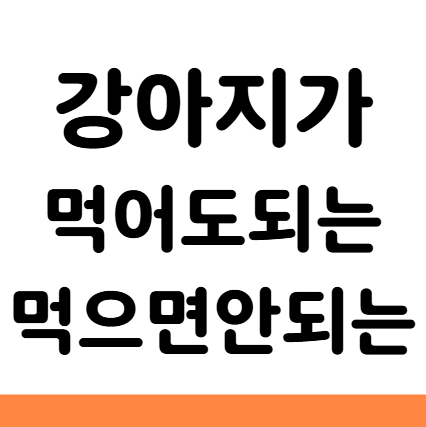  강아지 먹어도 되는 먹으면 안되는 과일 음식 야채 고기 생선
