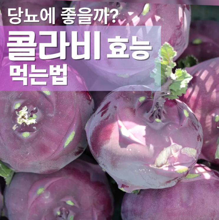  콜라비 효능 부작용 먹는법 보관법 당뇨