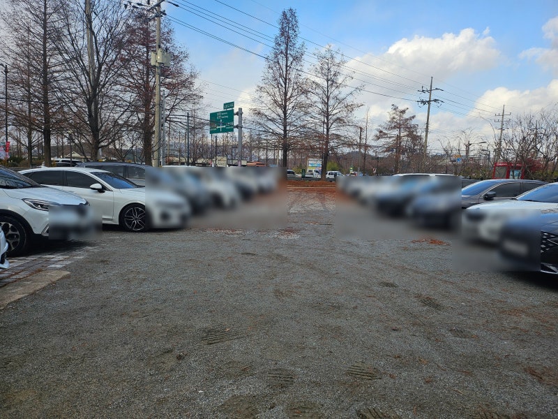 사진 8