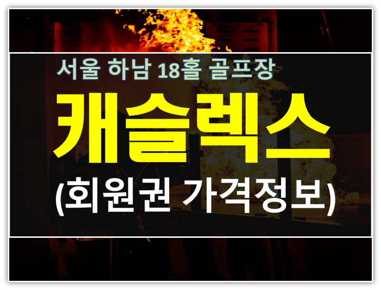  서울 캐슬렉스CC 회원권 종류별 가격정보입니다