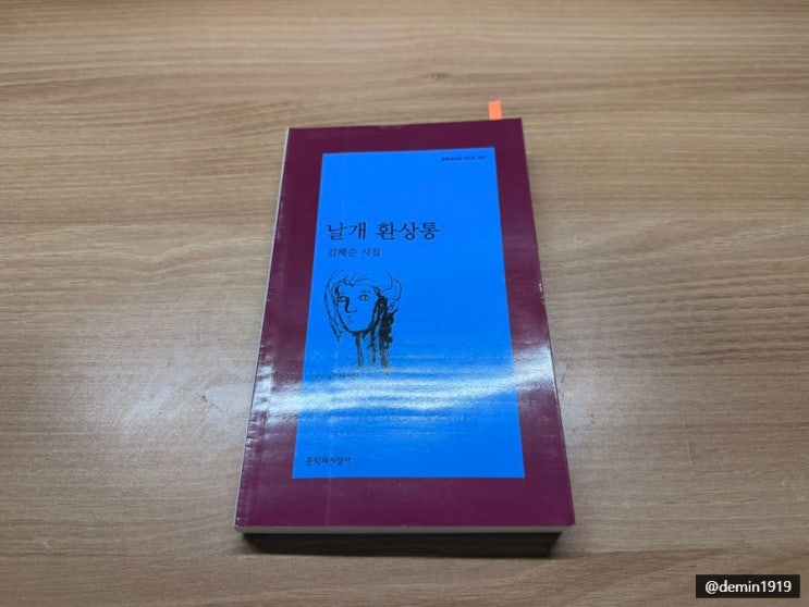  『날개 환상통』 - 김혜순