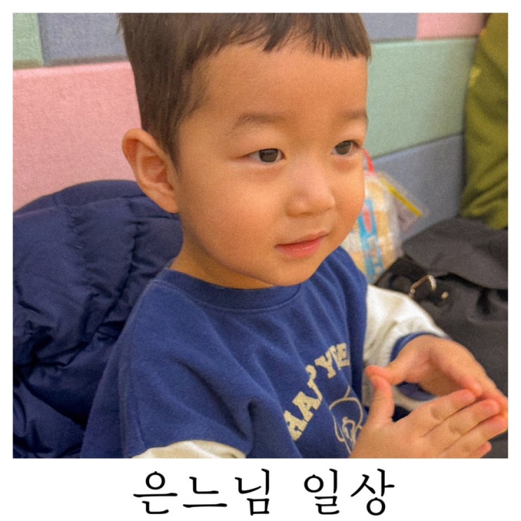  [은느님 일상]2026년 첫 일상 포스팅
