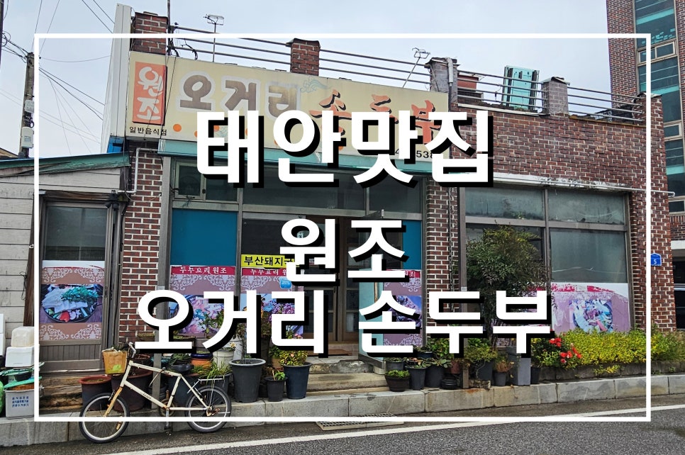 원조오거리손두부 사진 1