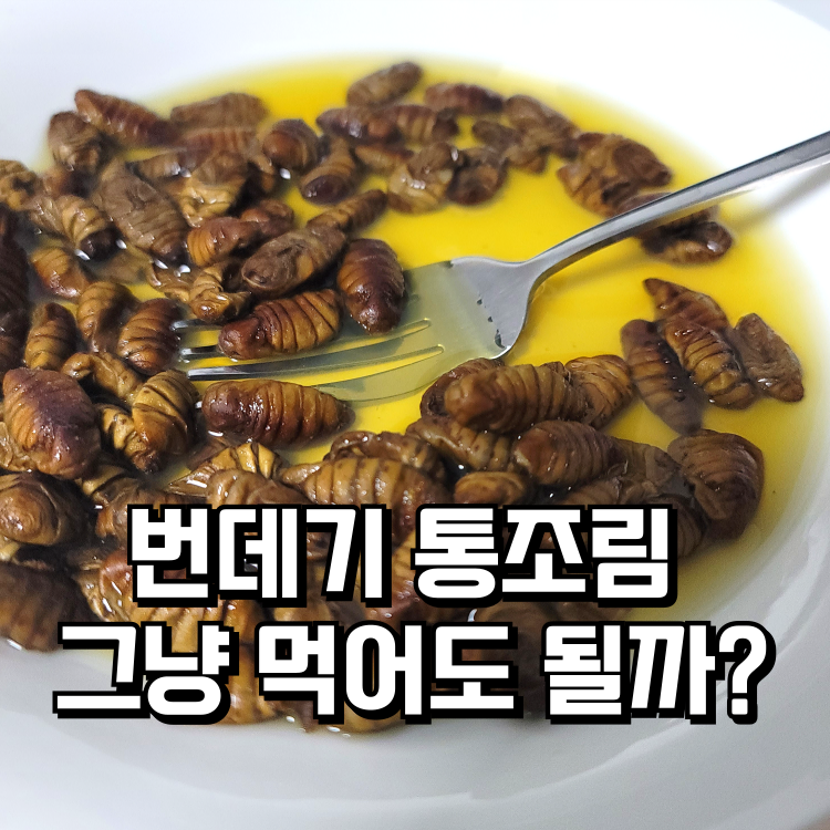 번데기 통조림 그냥 먹어도 될까?번데기요리 다이어트조리법