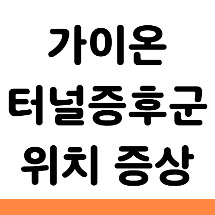 가이온터널 손목 증후군 위치 증상 차이 예방 치료