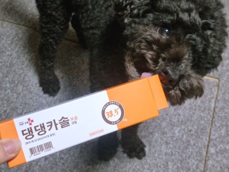 강아지 발사탕 발 갈라짐 피부 케어 강아지 연고 댕댕카솔 보습크림 후기
