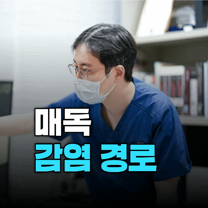 매독은 어떻게 옮나요? 많이들 오해하시는 매독 감염경로
