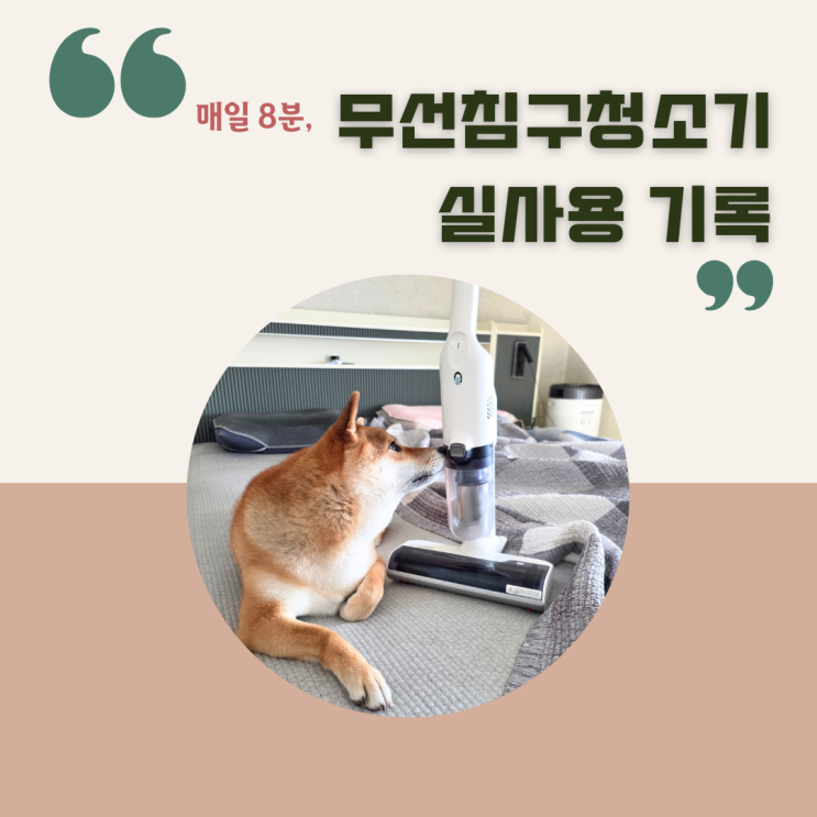  레이캅 침구청소기 | 직접 구매·3년 실사용 기록, 강아지 보호자
