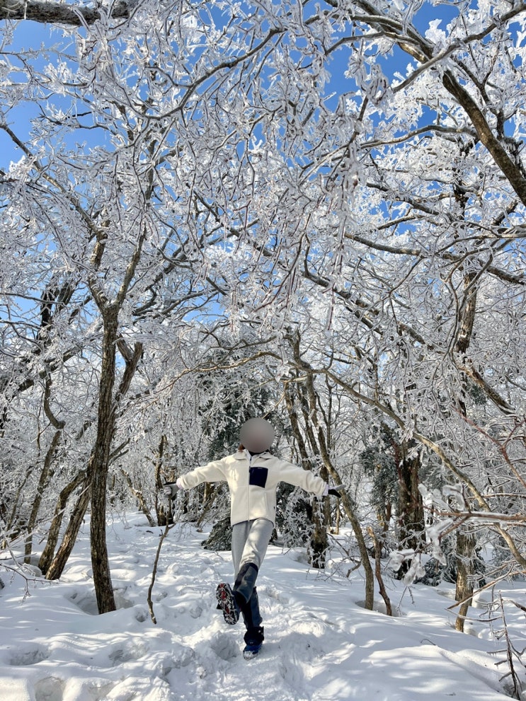  제주도 한라산 등반 후기, 성판악 코스, 왕복 등반 시간, 준비물, 일출시간, 진달래밭대피소