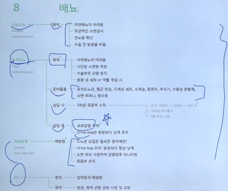 초록이 9강. 배뇨/배변