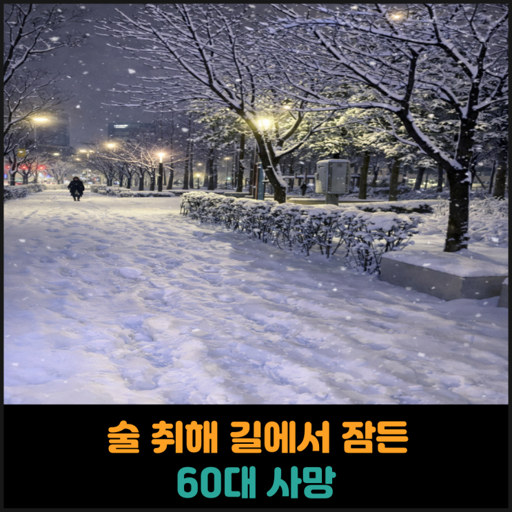  술 취해 길에서 잠든 60대 사망