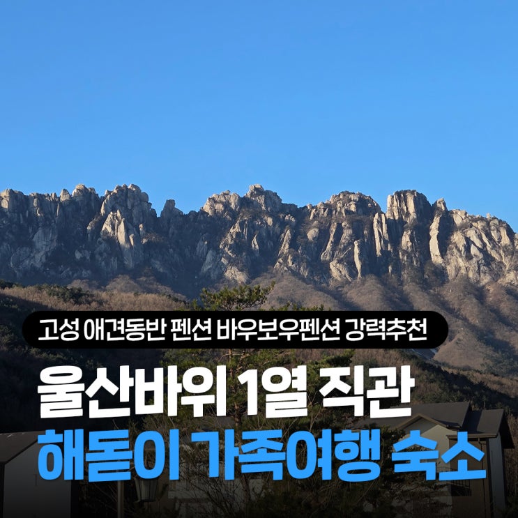  고성 애견동반 펜션 추천 바우보우 제비꽃방, 델피노급 울산바위뷰 숙소 키로수 추가 없는 반려동물 숙소