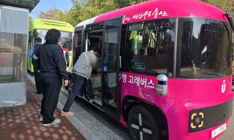 사진 8