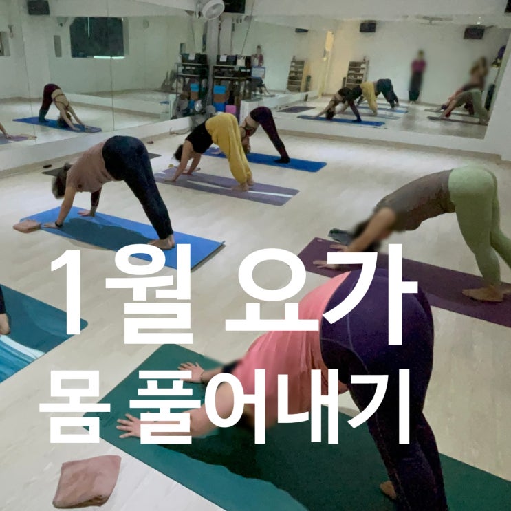  탄현역 헬스장 1월 요가 gx로 몸 풀기!