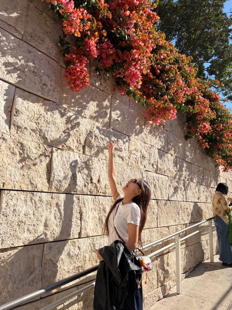  [LA 여행] 게티센터 The Getty Center 대중교통 / 피크닉 후기 / UCLA 대학교