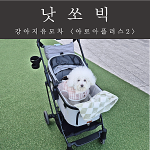 [낫쏘빅] 강아지 유모차 / 아로아플러스 버전2 사용후기
