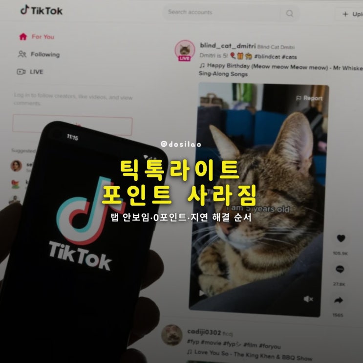  틱톡라이트 포인트 탭 사라짐 해결