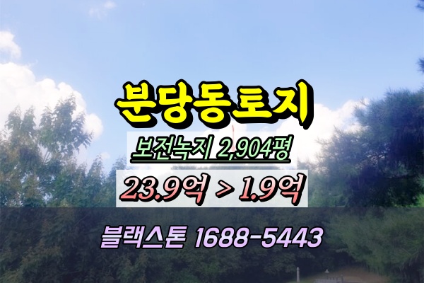  분당구 임야 경매 3천평 분당동 1억대 2024타경66780