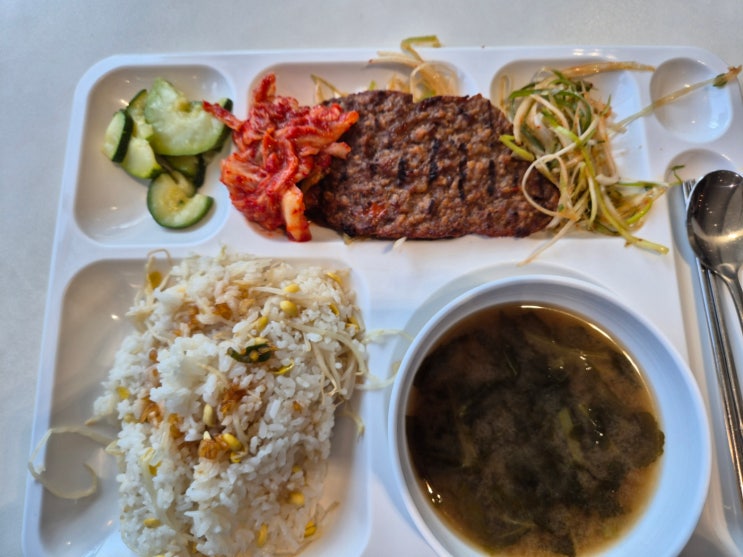 [평창 숨은 맛집] 서울대 평창캠퍼스 '제다움' 구내식당: 6,000원의 행복, 매일 바뀌는 집밥 뷔페!