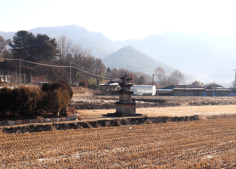 사진 7