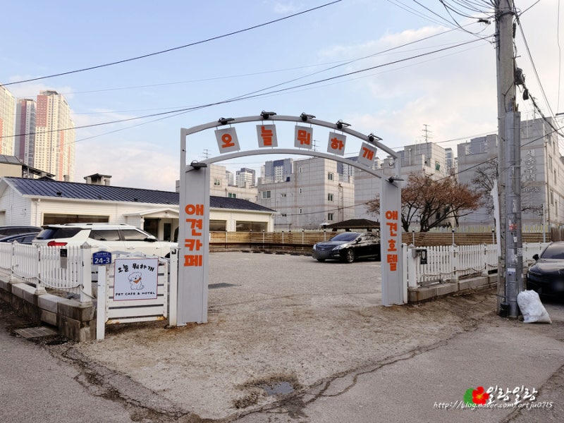 사진 6