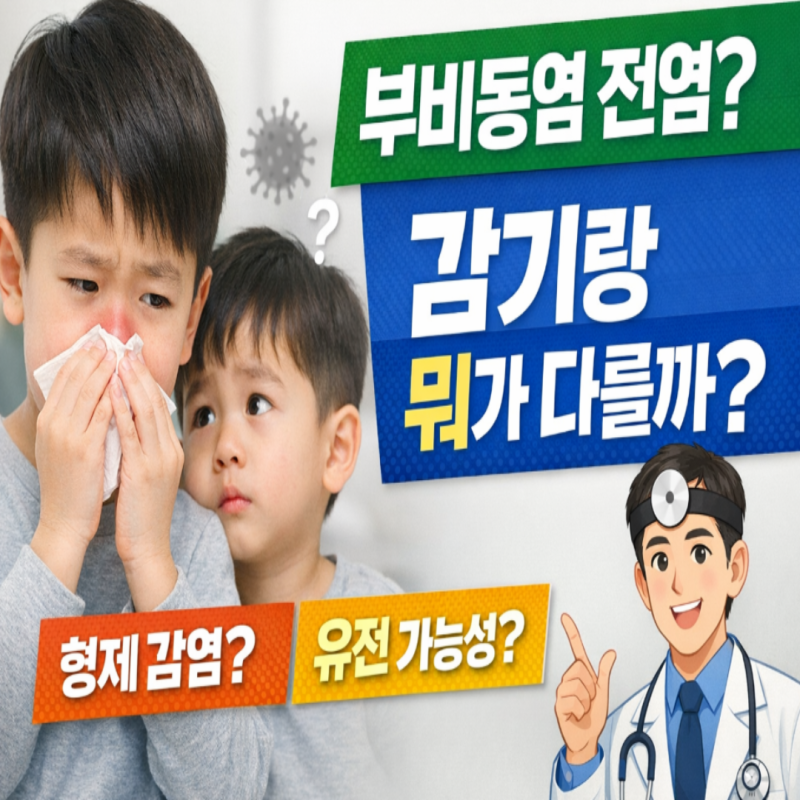 부비동염 전염과 유전, 형제에게 반복되는 진짜 이유