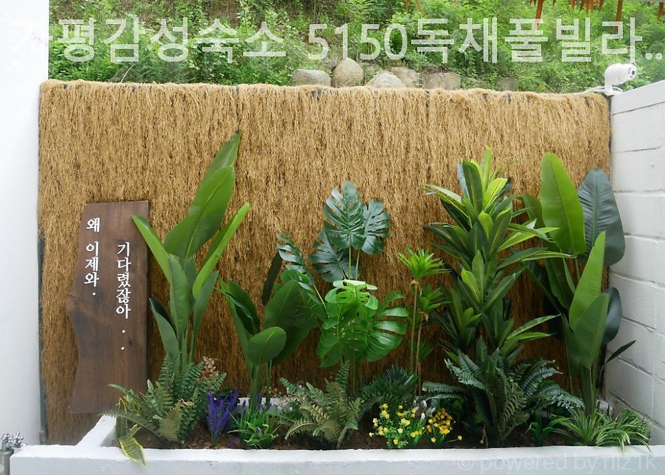 5150풀빌라 사진 5
