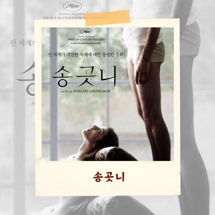  영화 <송곳니> 리뷰 해석 비평 “우리가 사는 세계에 대한 우화”
